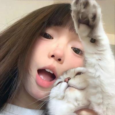老鼠逗猫